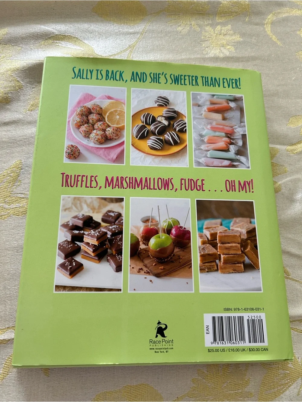 Sally’s Candy Addiction Hardcover Book